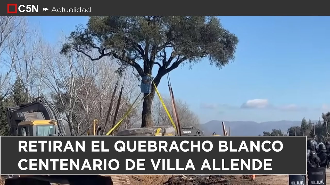RETIRAN el QUEBRACHO BLANCO CENTENARIO de VILLA ALLENDE
