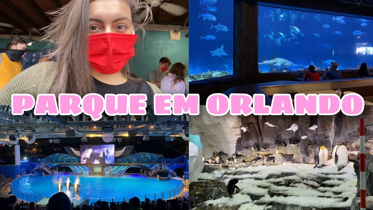 SEA WORLD |  PARQUE DE DIVERSÃO DO COMPLEXO DISNEY | RESTAURANTE NO AQUARIO | VLOG 9 | DESCOLEI