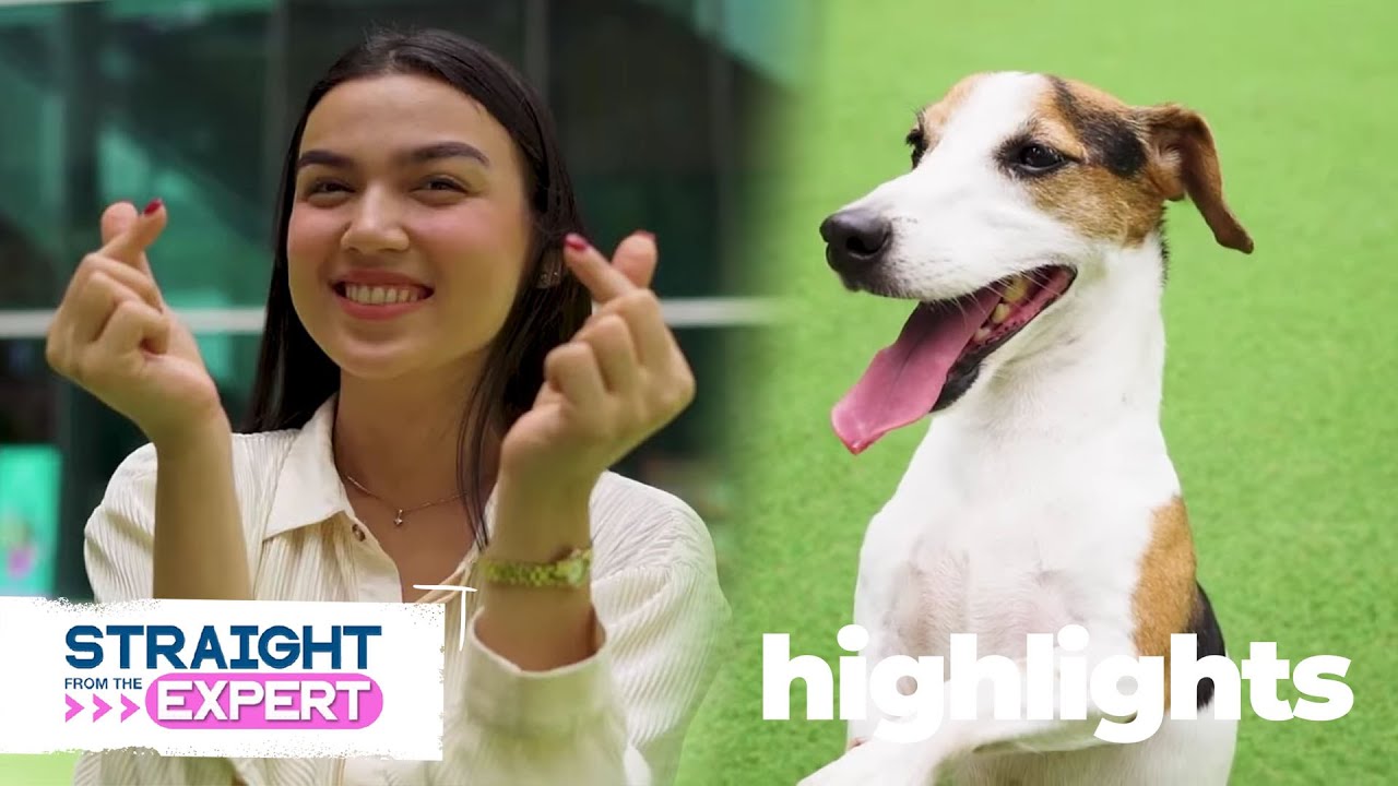 Straight From The Expert: How to train your dog with Haley Dizon and Milo | Highlights