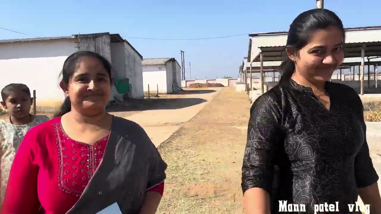 🤳vlog 19 ⭕️ aaje gam ma animal hostel m a નંદી sala nu karyu udghatan વ્લોગ ૧૯