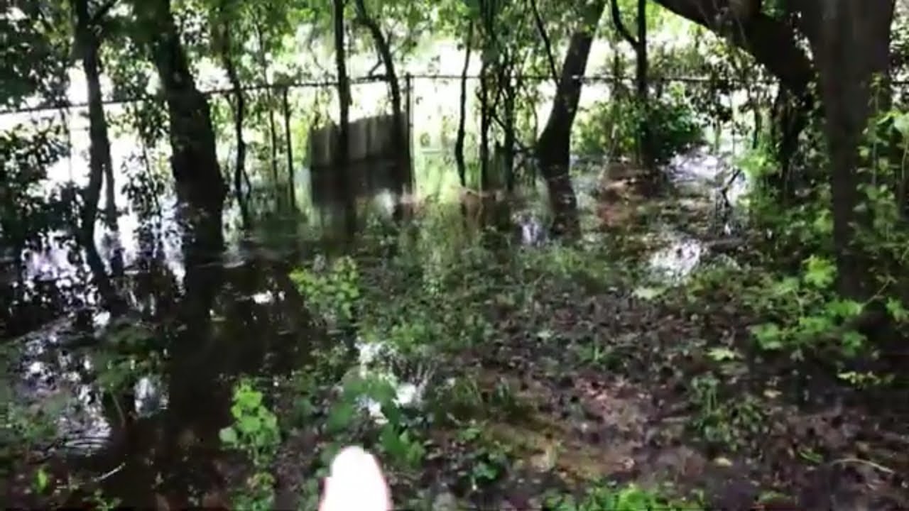 Water is getting high