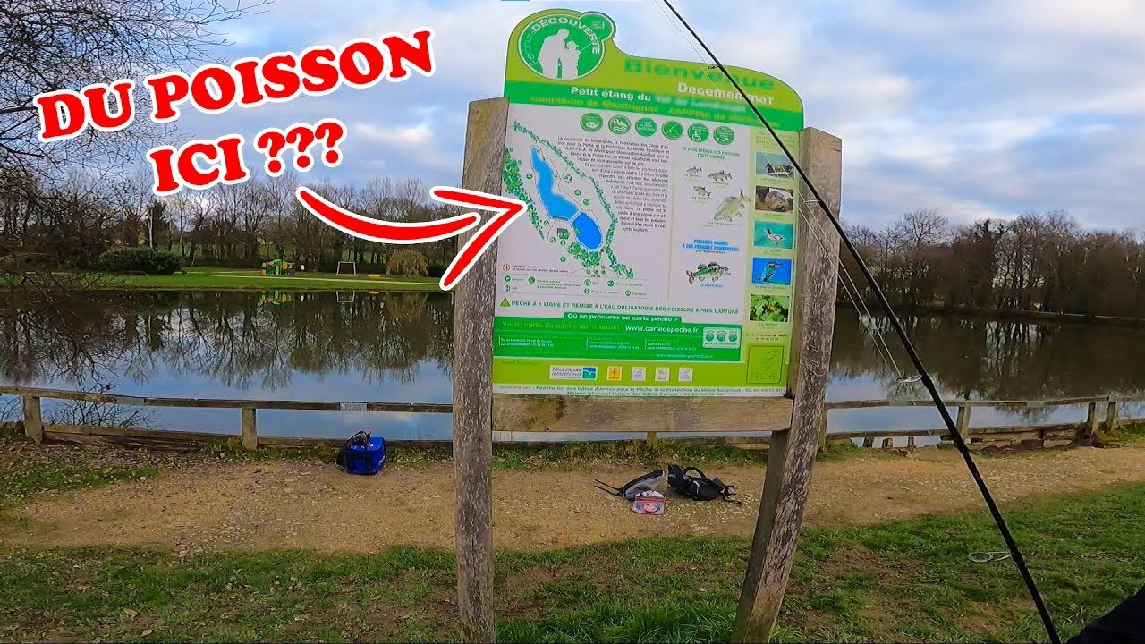 Des POISSONS RECORDS dans cet ÉTANG COMMUNAL, les habitants sont choqués !!!