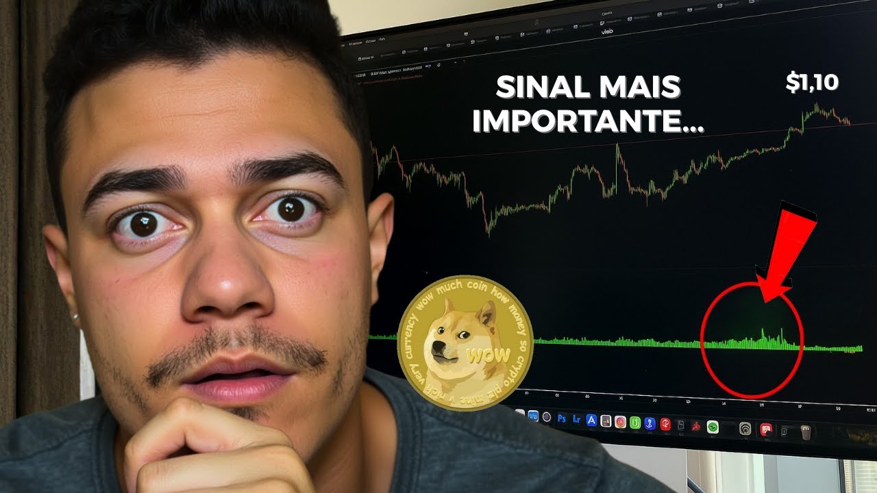 PARE DE VENDER SEUS DOGECOIN AGORA (Isso &eacute; S&eacute;rio)