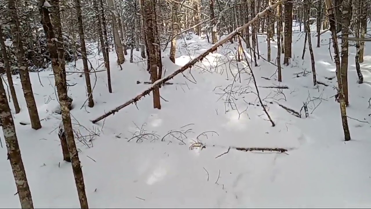  Old Roads and Forgotten Trails
