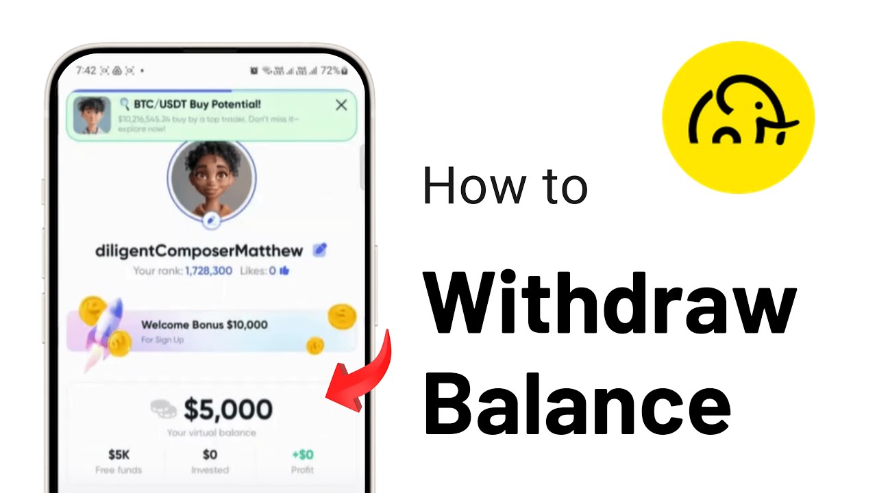 Can we Withdraw Balance from GoCrypto?
