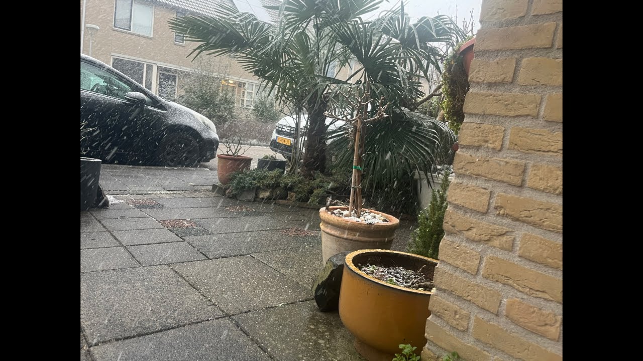 หิมะตกอีกแล้ว, ￼ ที่บ้าน รอตเตอดัม , ￼ เนเธอร์แลนด์., Sneeuw fall.,