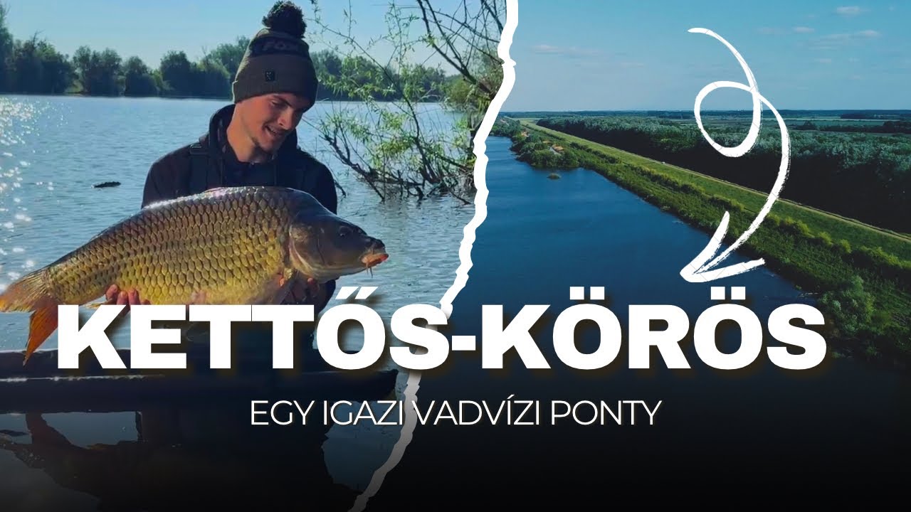 Az igazi vadvízi ponty!😍|Kettős-Körös|
