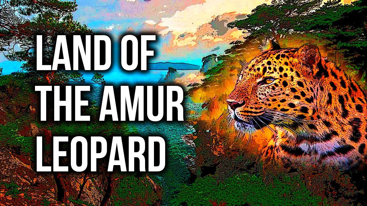 Land Of The Leopard: Home Of The World's Rarest Cat