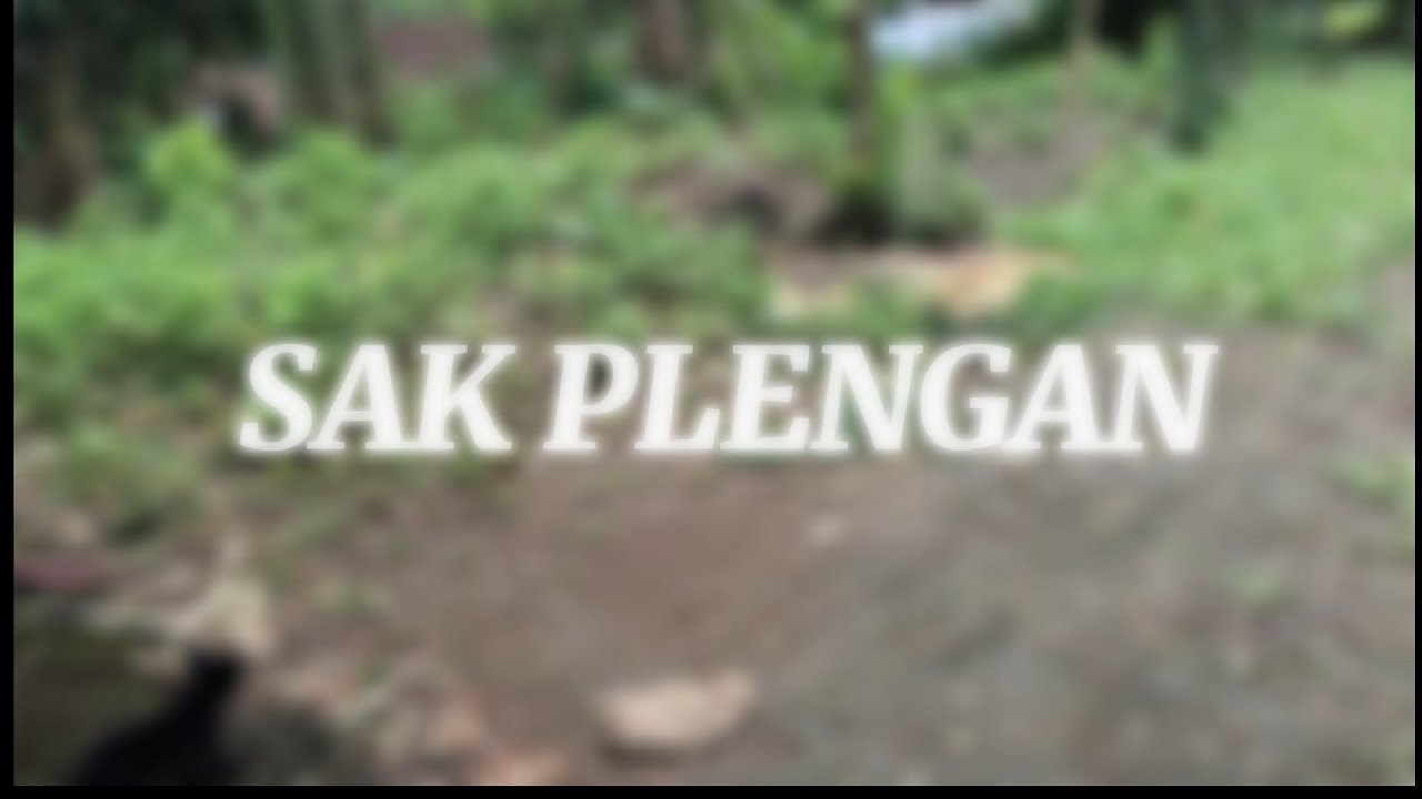 Krisbiyanto - Sak Plengan (Official Lyrics Video)