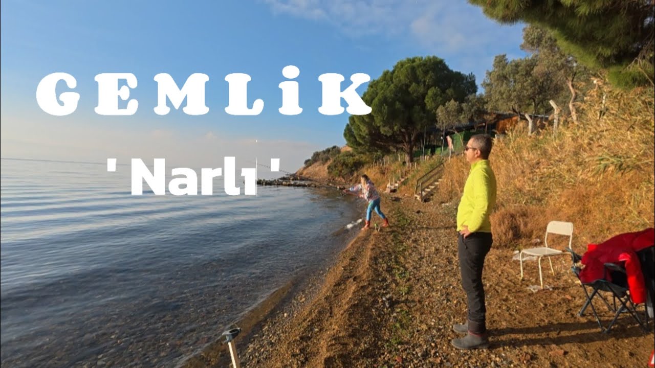 GEMLİK NARLI AKSİYONU HEYECANI BOL BALIK AVI #fishing #oltailebalıkavı #bigfish #kıyıdanbalıkavı