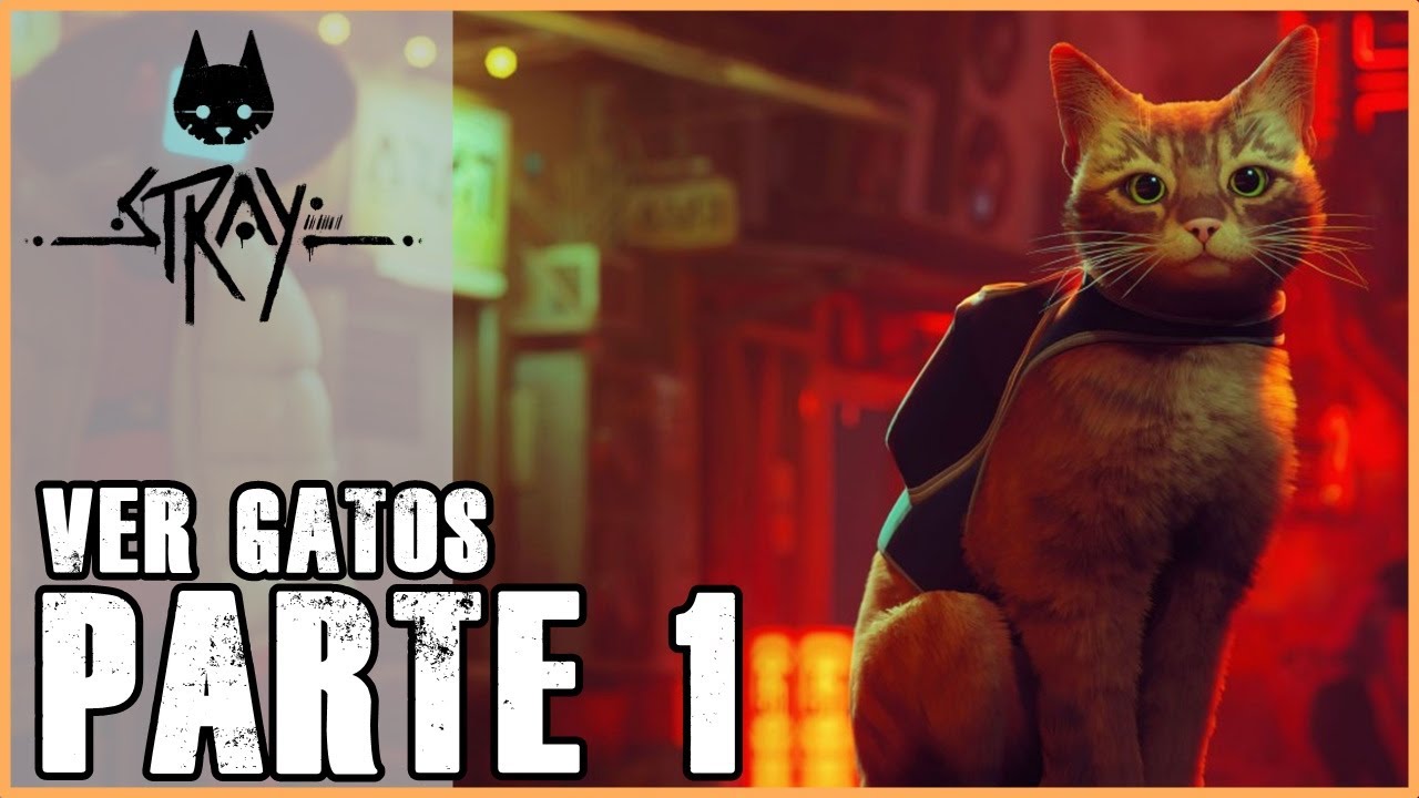 Stray - Parte 1 - Version de PC - Jeshua Games
