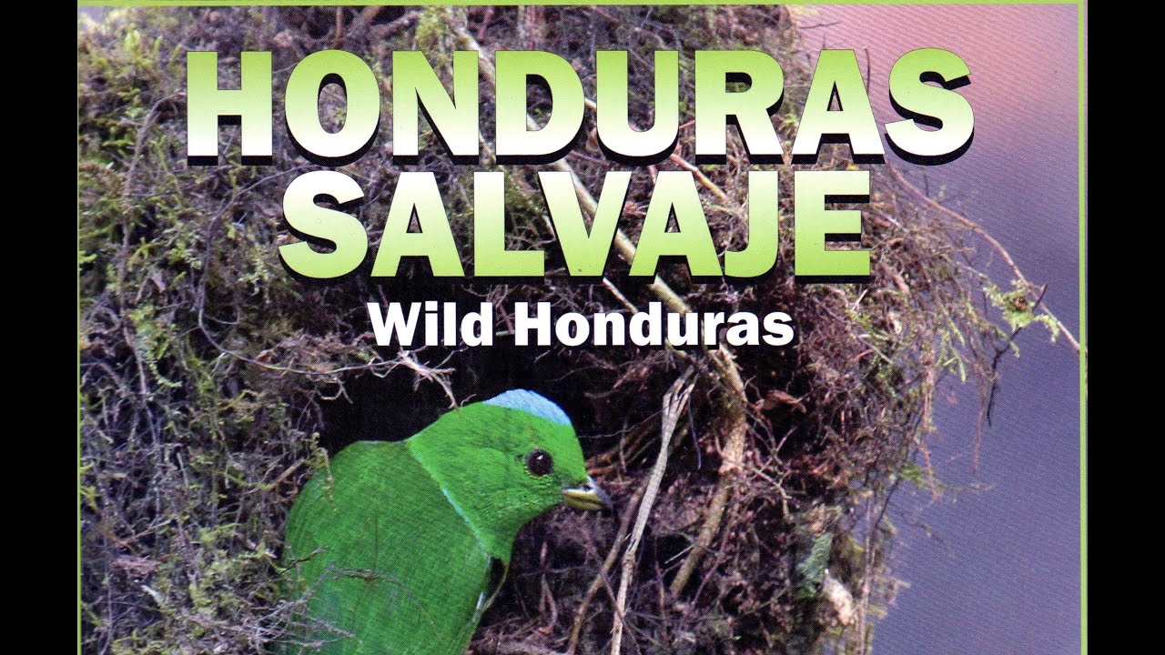 Honduras Salvaje Documental!!! :-))