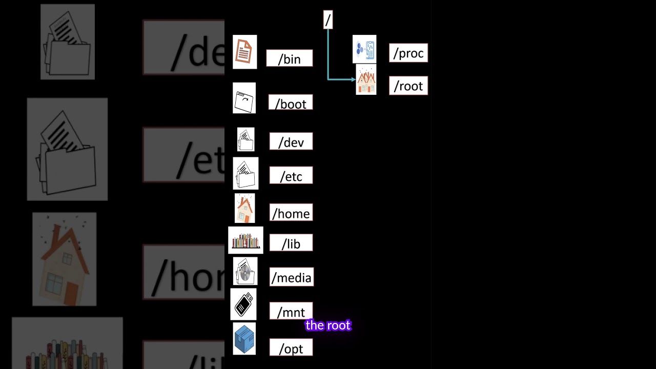 Linux File Folders/Directories Explained in near 60 Seconds 🐧 #linux #linuxfilesystem #linuxshorts