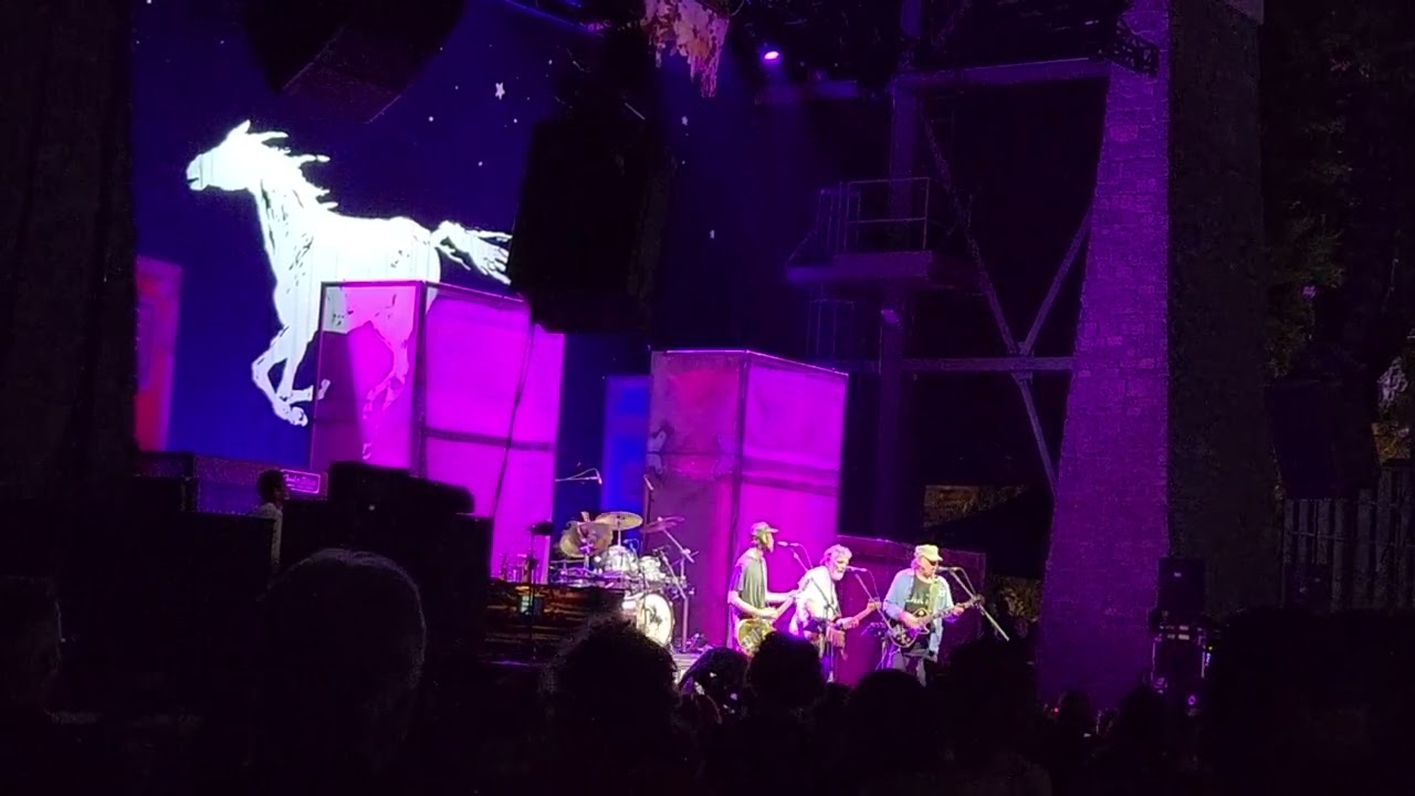 Neil Young - Sedan Delivery 5-9-24 Franklin, Tennessee FirstBank Amphitheater