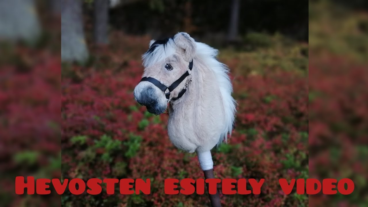 Hevosten esitely video🍁❤️