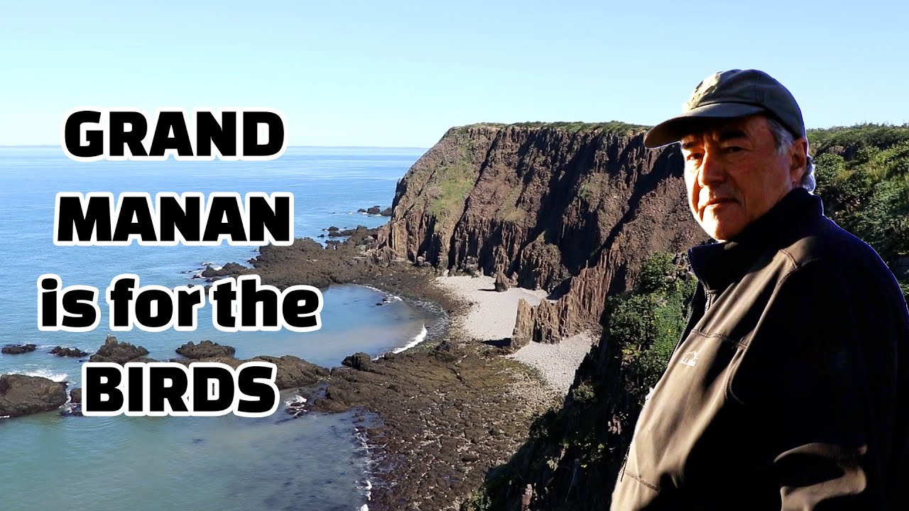 Grand Manan's BIRDIEST HOT SPOTS
