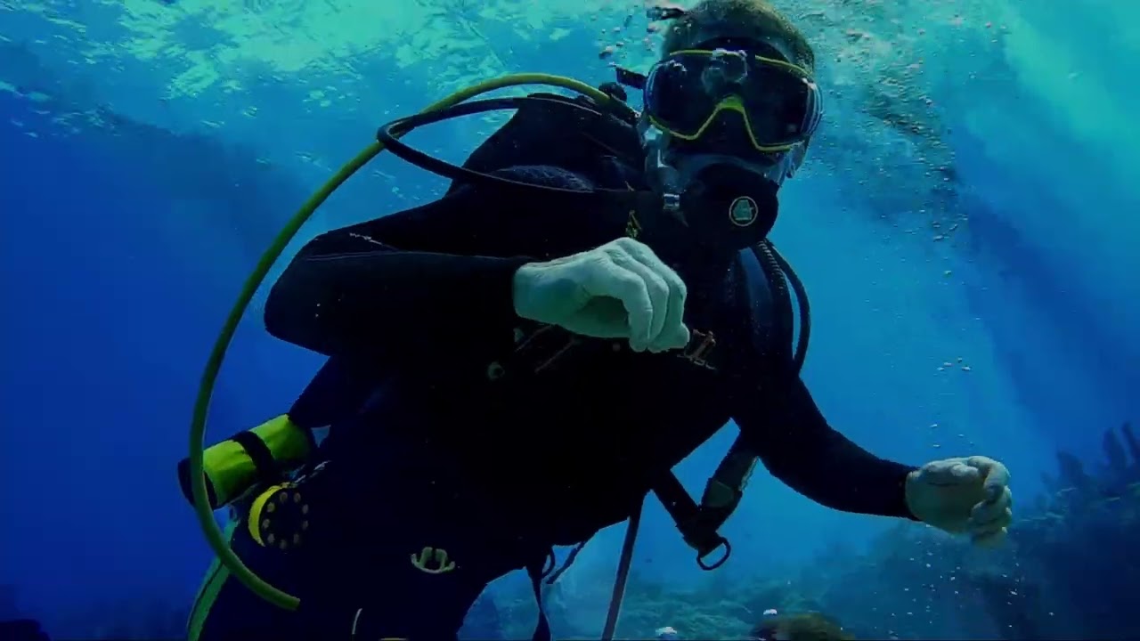 Diving Molasses Reef raw video, no color filters unedited.