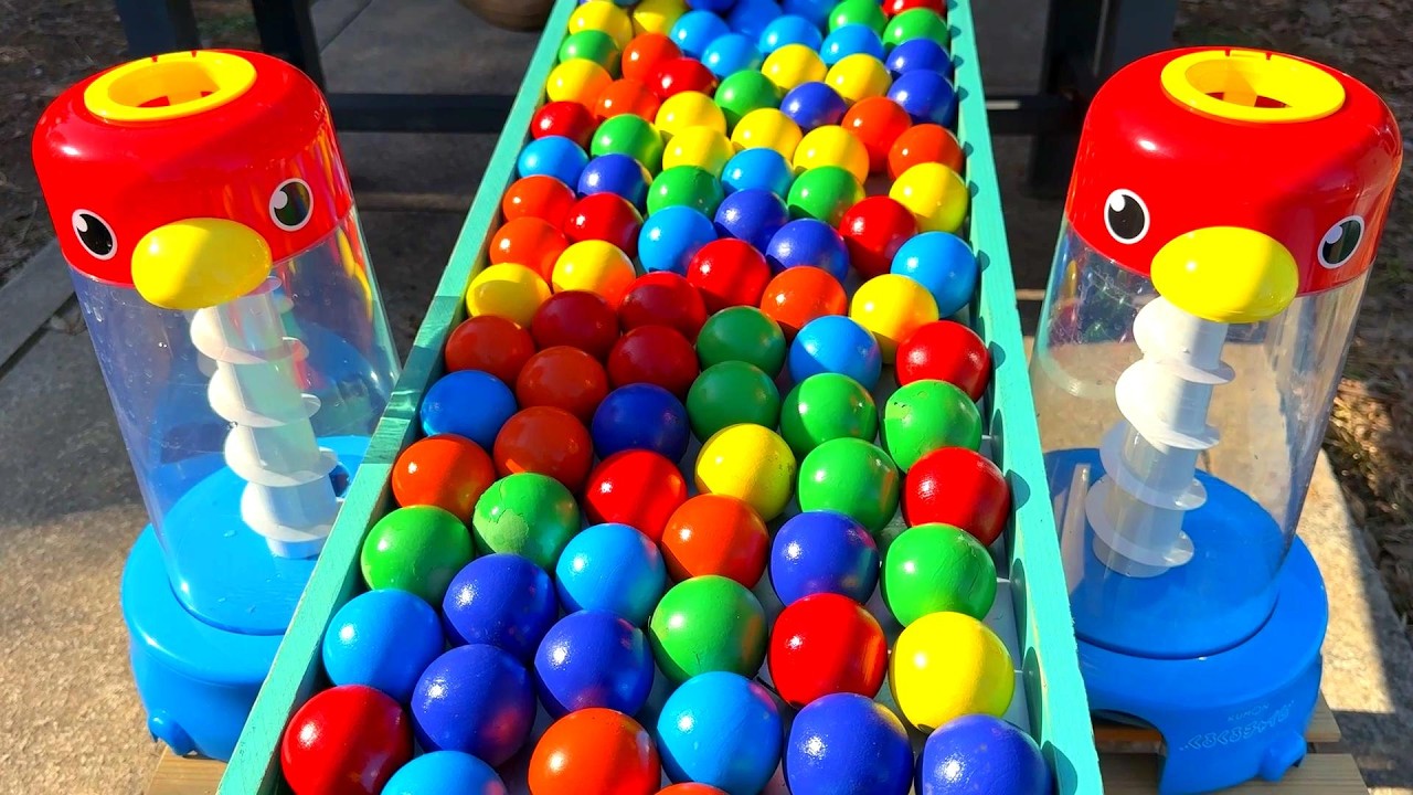 Marble Run ☆ Charismax Mr. Guppy Marble Run ♪