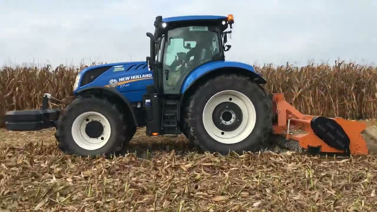 Pokazy ŻNIWA  kukurydziane 2022 #AGROSKŁAD #NEWHOLLAND #Wielton