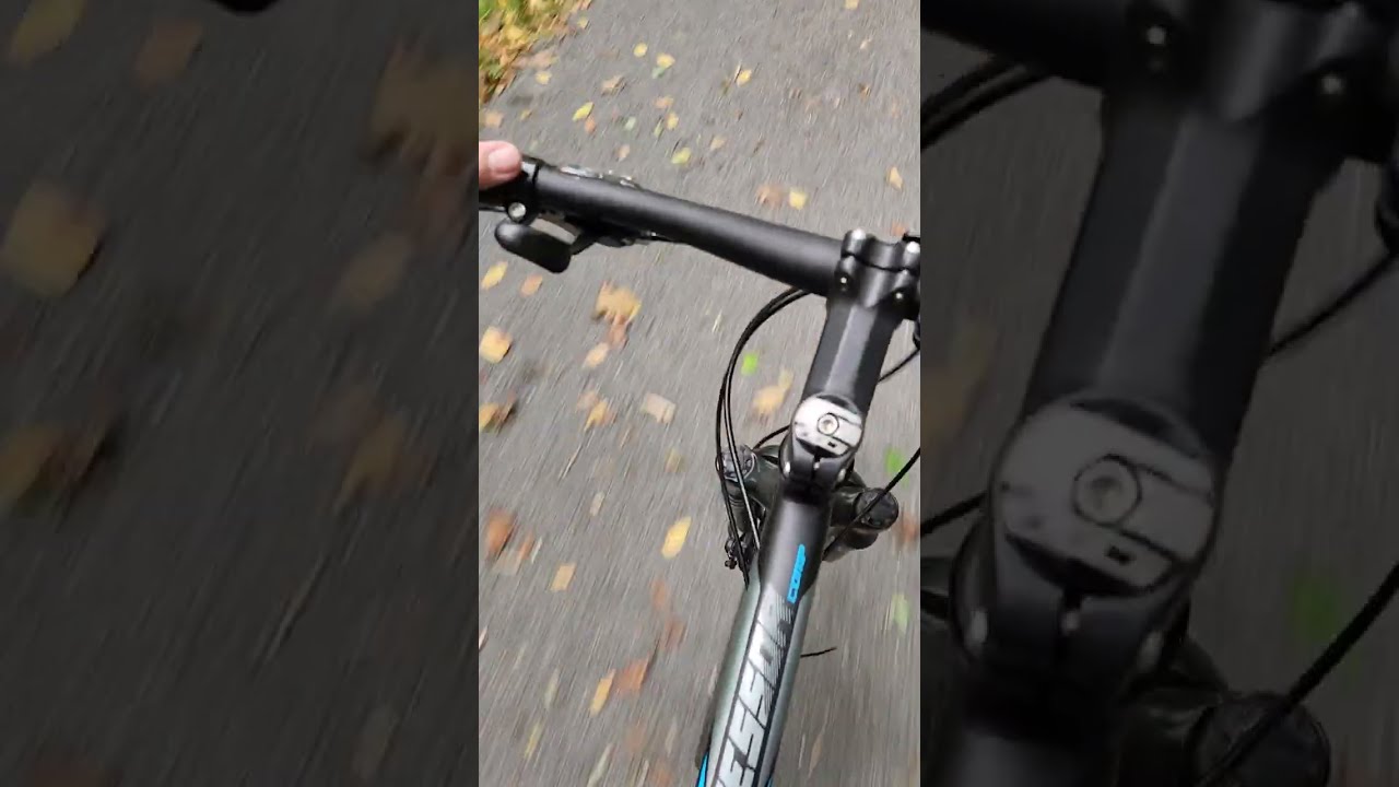 Meadow River trail POV
