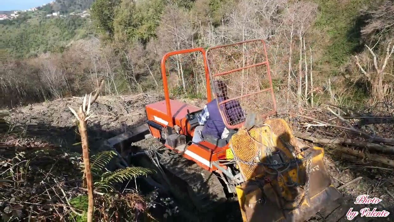 Lavori boschivi FiatAgri72-85FD+verricello forestale Forestry work FiatAgri72-85FD+forestry winch