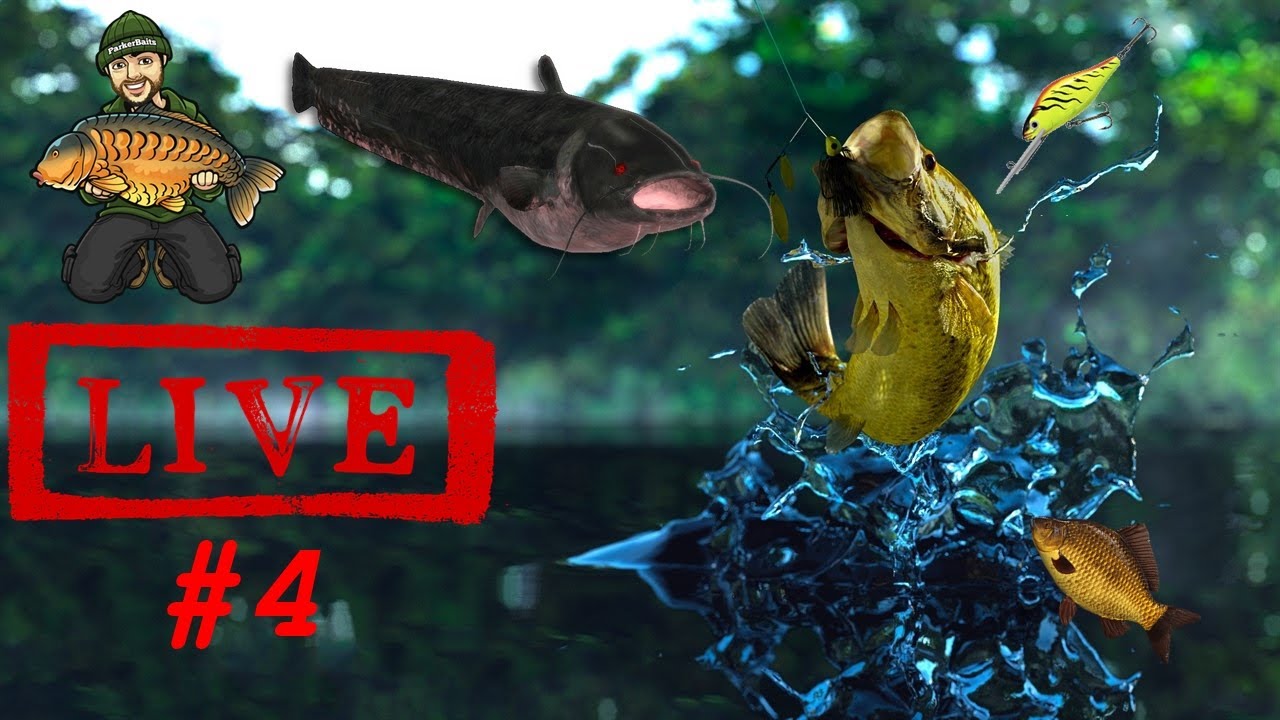 🔴 Fishing Planet Romania - La O Pescuiala Cu Baietii