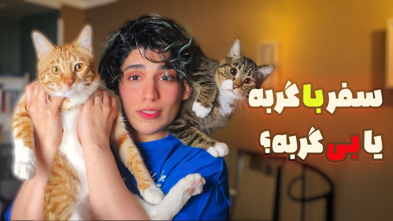 چجوری گربه هامونو تو خونه تنها میزاریم😿