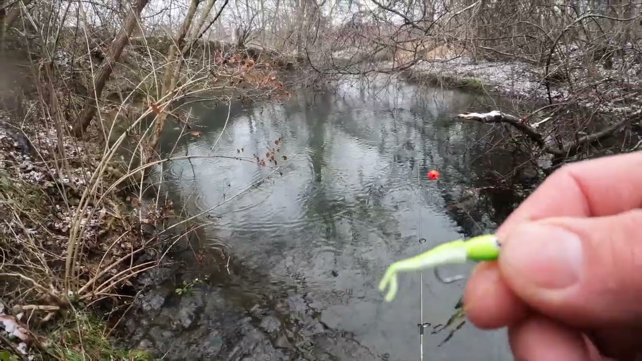 Fishing Berkley Gulp Minnows (Non-Stop Bite!)