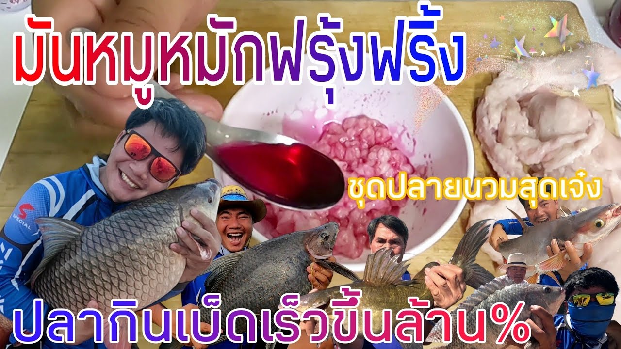 วิธีหมักมันหมูตกปลาหน้าดิน