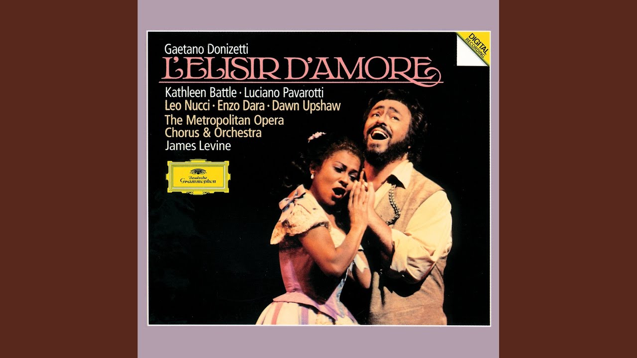 Donizetti: L'elisir d'amore / Act I: 