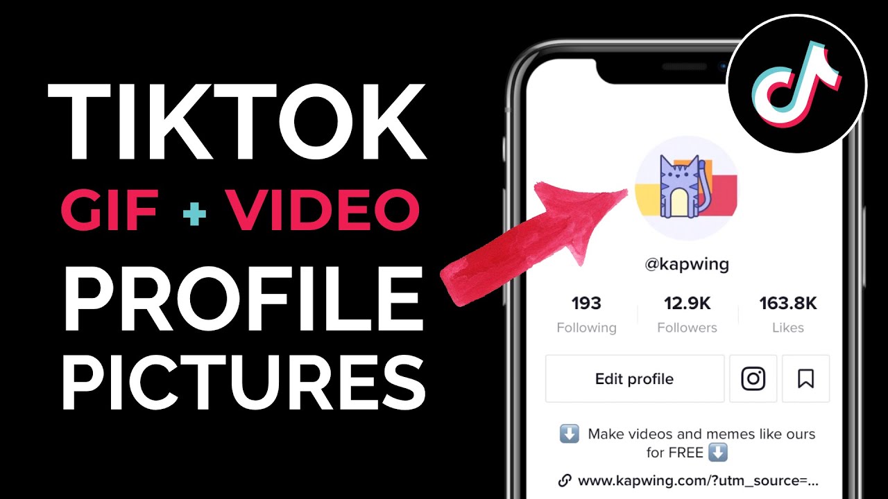 How to Use Any GIF or Video as your TikTok Profile Picture