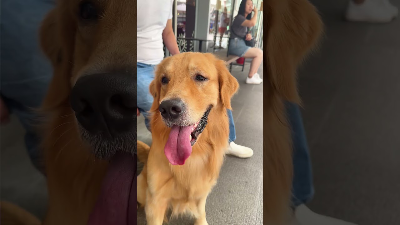 &bdquo;Skye at Holland &ndash; najwyższy punkt orientacyjny w Holland Village. #SkyeAtHolland #NoweOtwarcie #...