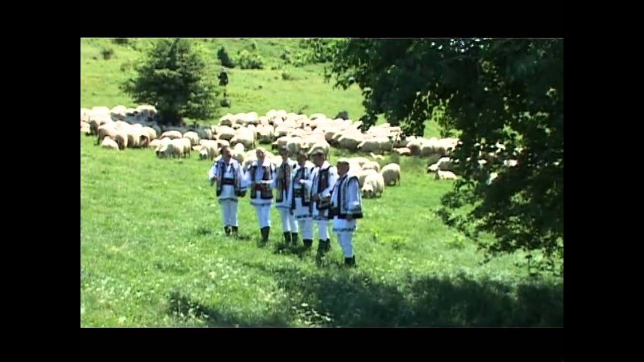 Grupul folcloric Gheorghe Jitaru   Canta cucu' bata l vina