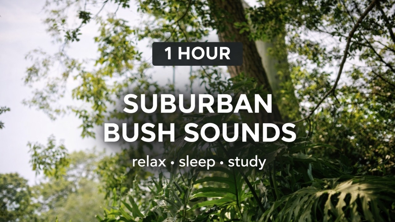 Suburban Forest Sounds || 1 Hour Relaxation, Meditation & Sleep Sounds