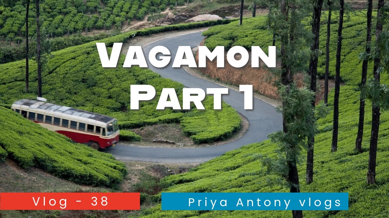Vagamon Stay Vlog | Kerala Hill Station | Vlog - 38  #Vagamon #priyaantony #idukki #couplevlog 