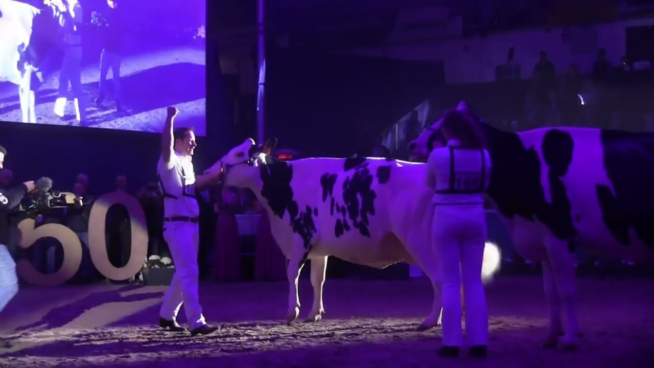 2025 12 08 CATTLE de Schau der Besten 2024 26