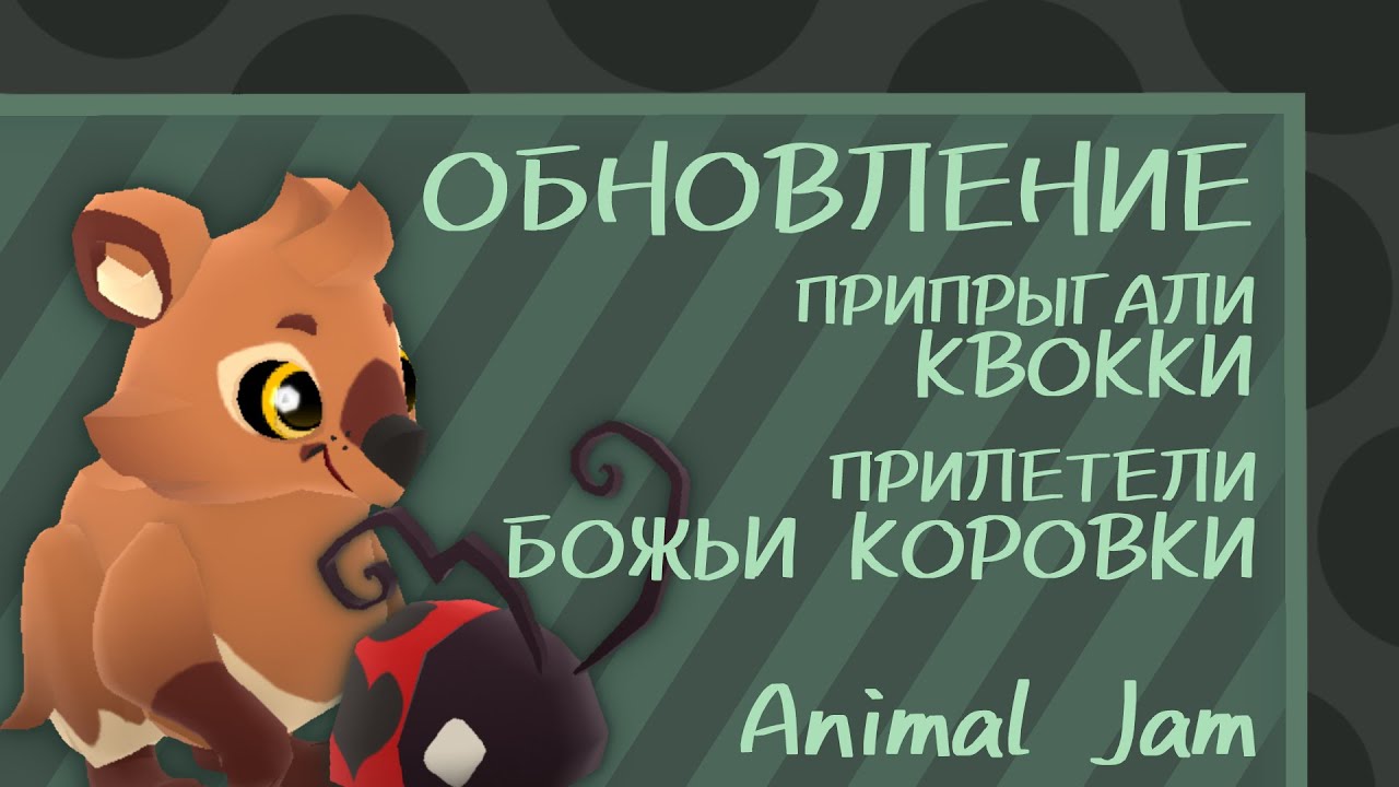 Обзор на ОБНОВЛЕНИЕ / Покупка и обзор на КОМПЛЕКТ КВОККА / Прилетели БОЖЬИ КОРОВКИ / Animal Jam