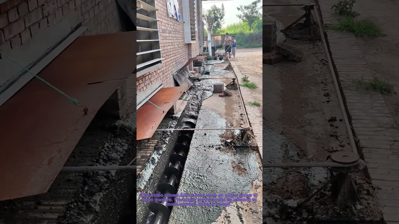Farm Manure Cleaning with Auger Screw
