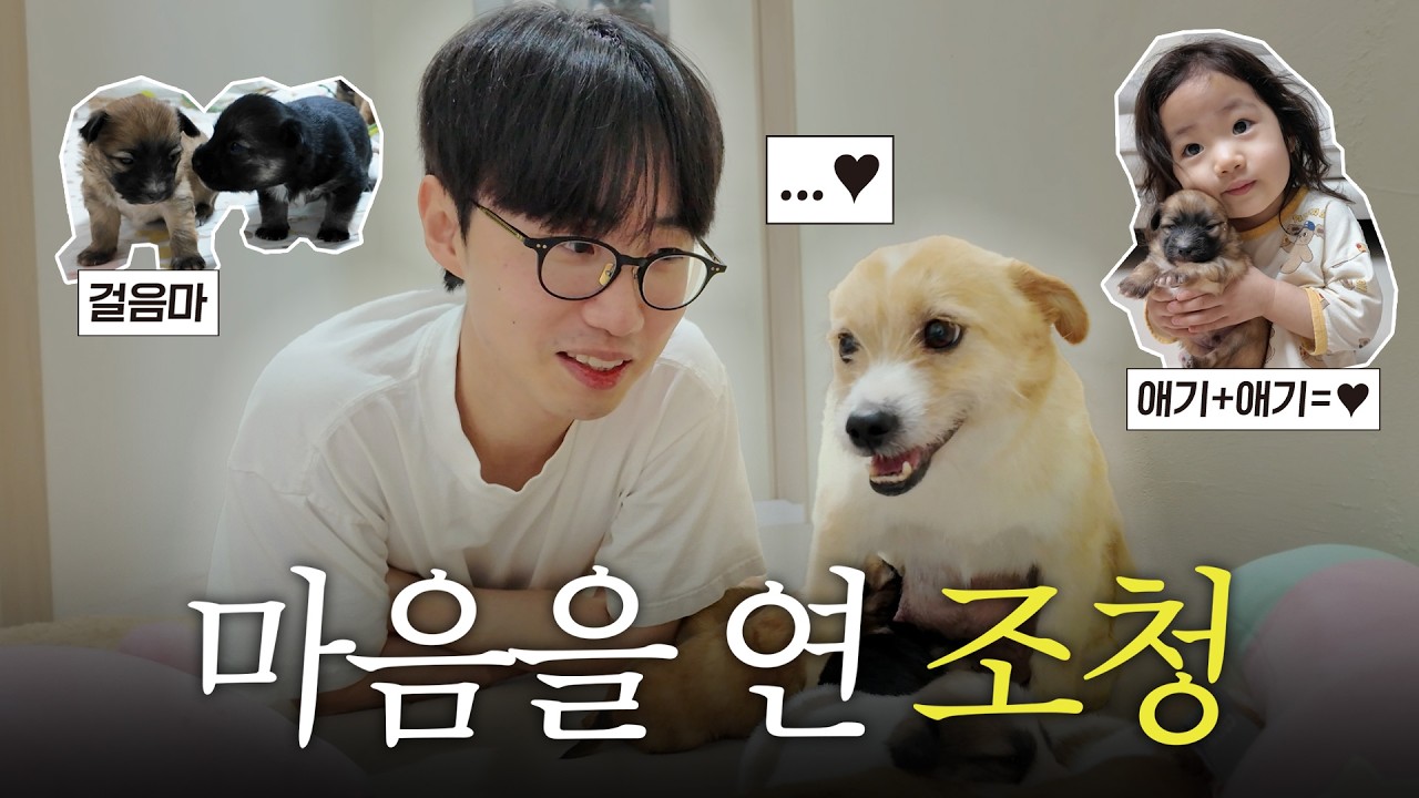 드디어 마음을 연 조청이 거실 활보