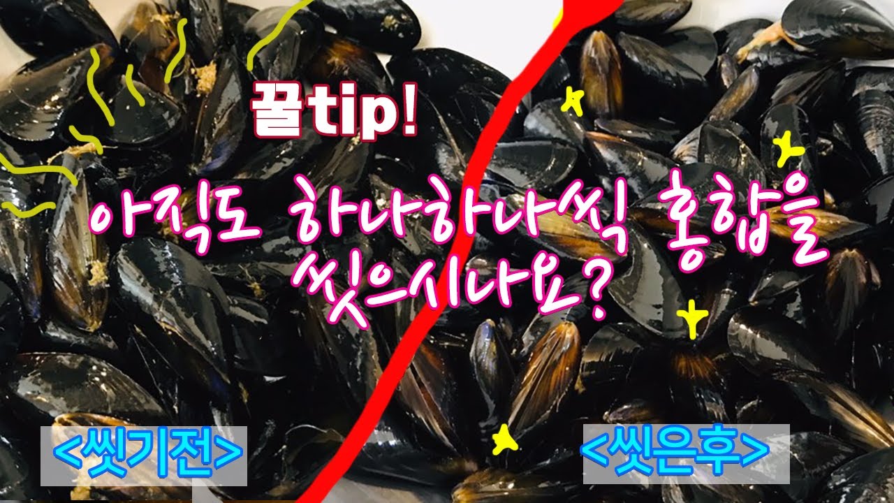 [홍합(담치)손질]- 홍합을 손질하는 가장 간편한 방법