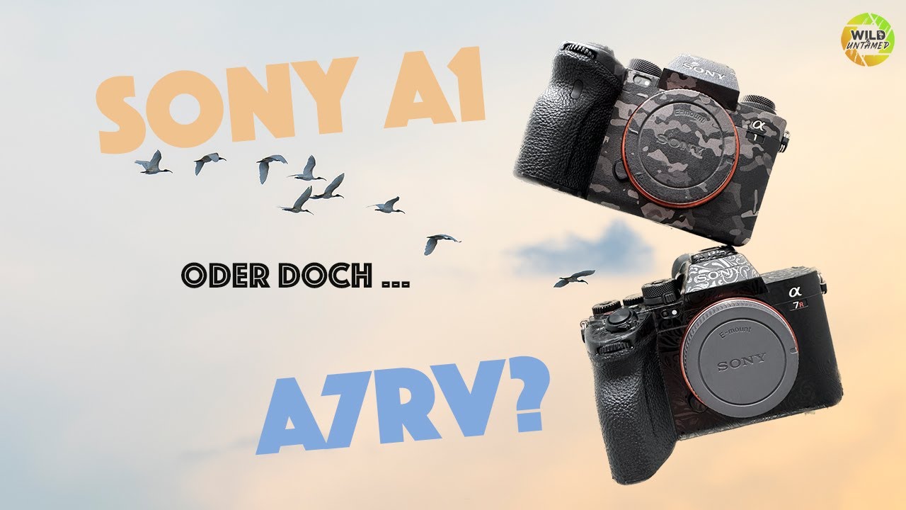 Was denn nun? Sony A1 oder doch A7RV für die Wildlifefotografie?