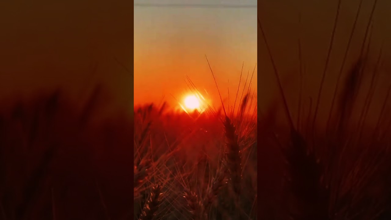 8 июля 2025 г.