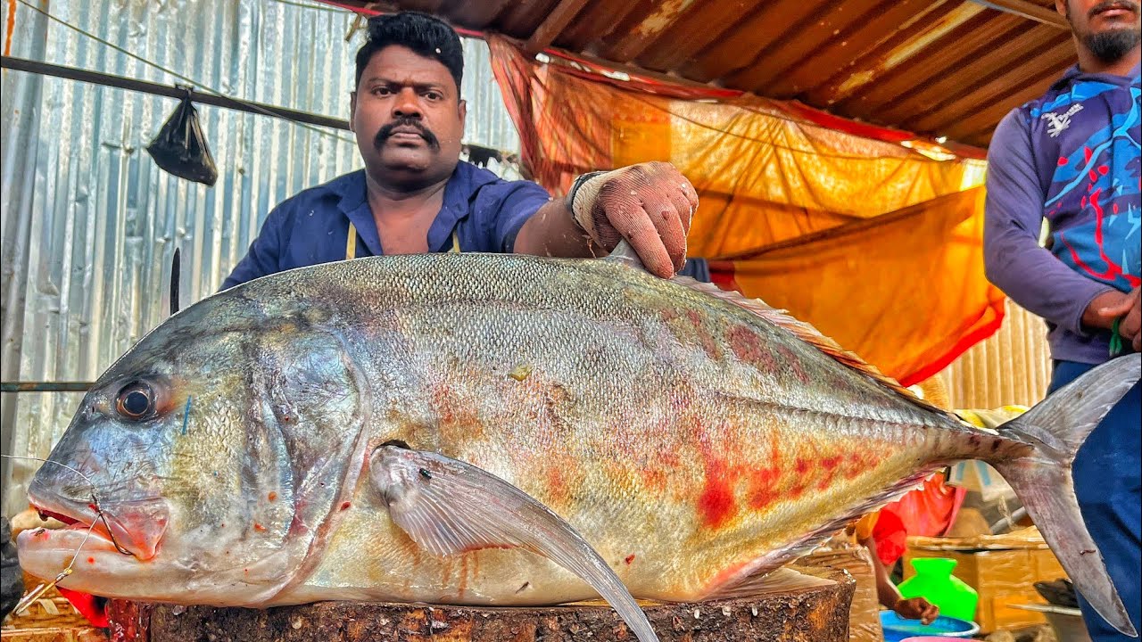 KASIMEDU 🔥 SPEED SELVAM | HUGE GIANT TRAVELLY FISH CUTTING VIDEO | 4K VIDEO | KM FISH CUTTING