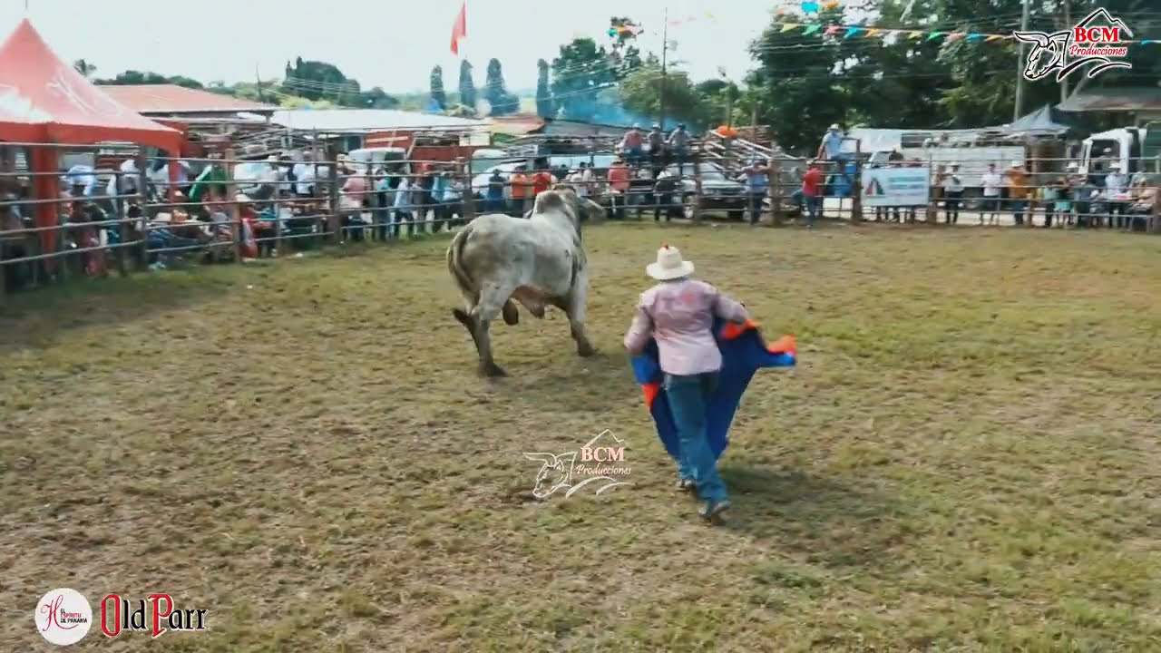 Competencia de Padrotes en Patronales de Santa Rosa de Lima, Paritilla organiza Efraín Miranda 2025