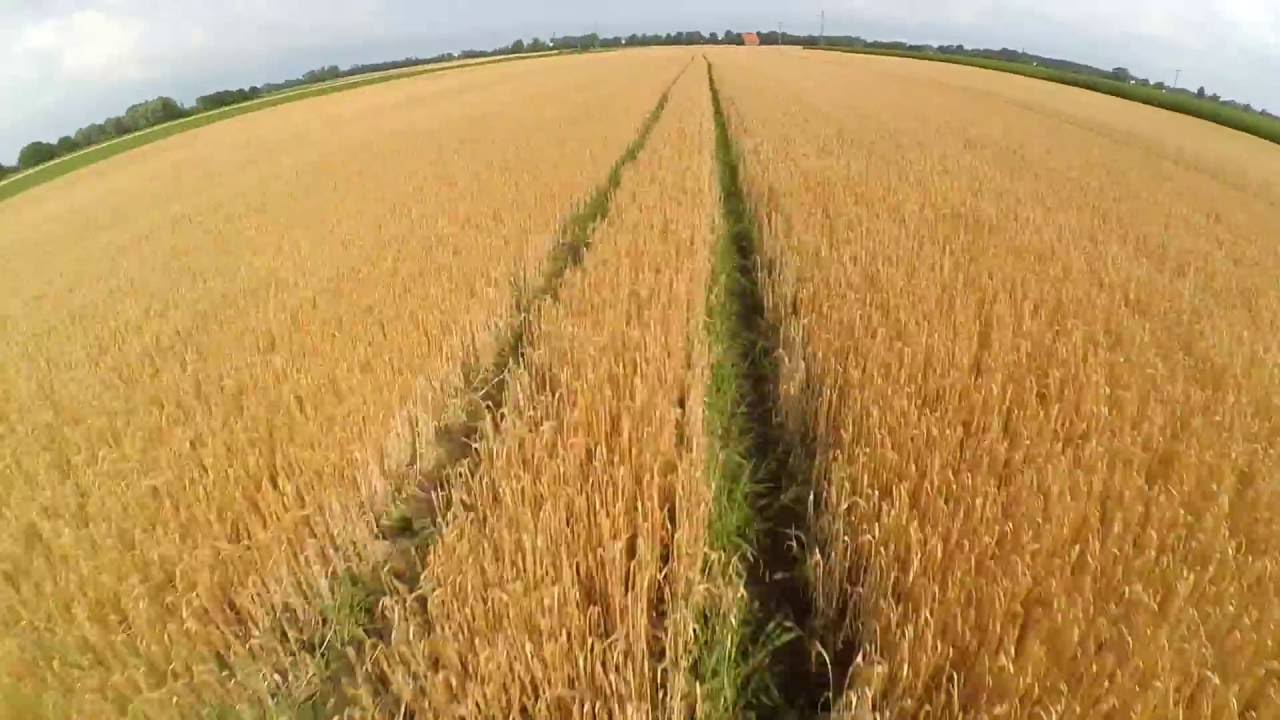 FPV Following Piper Acro Freestyle Action