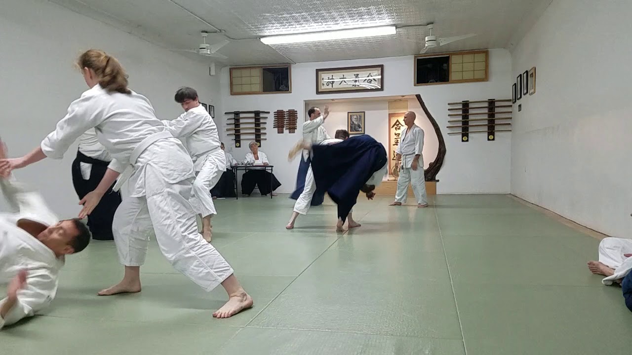 Shodan Test - Ray Lefebvre
