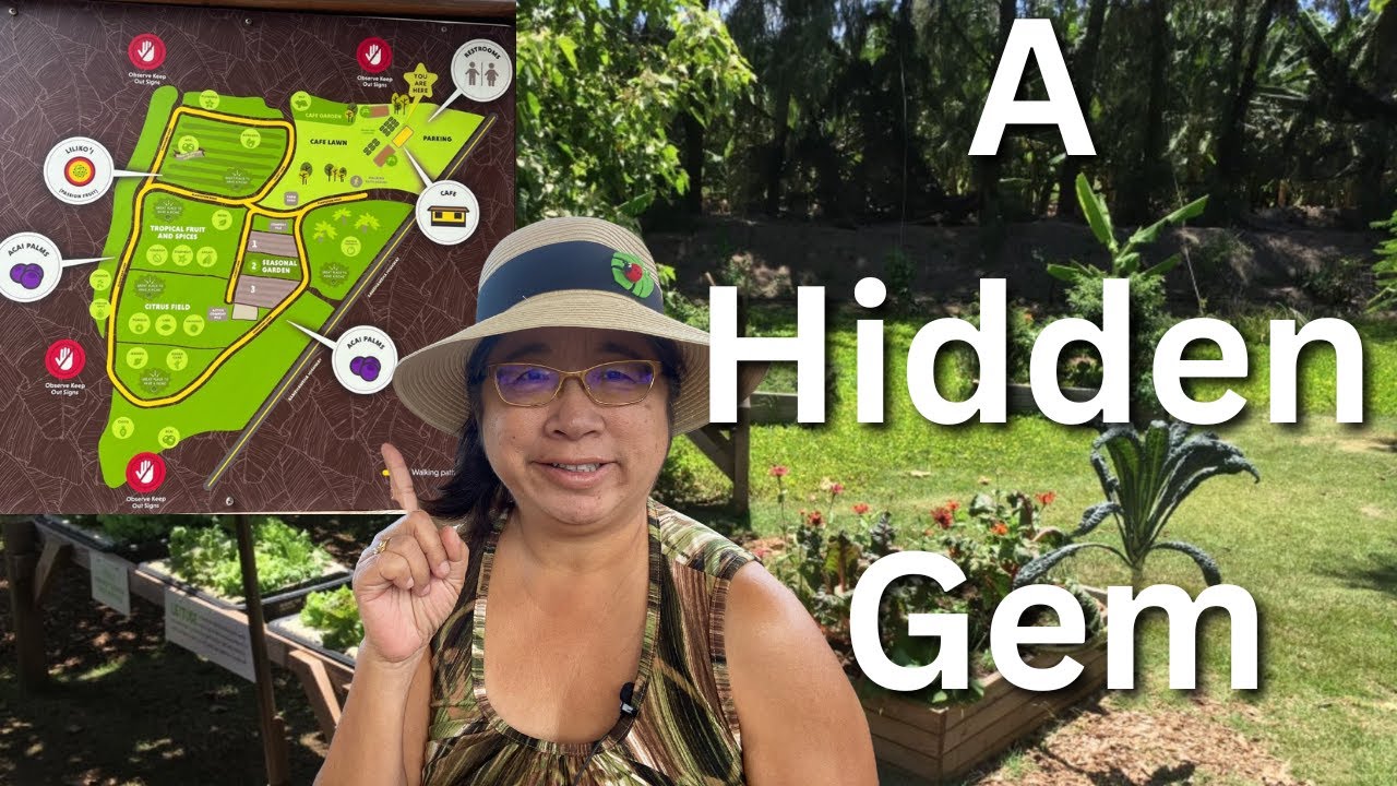 Kahuku Farm: A North Shore Adventure