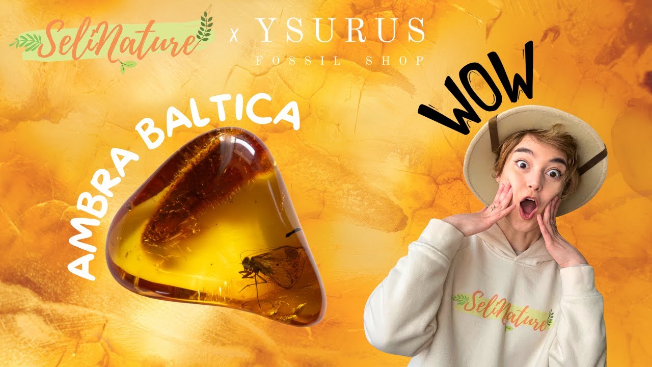 AMBRA BALTICA e JURASSIC PARK: storia di una resina preistorica