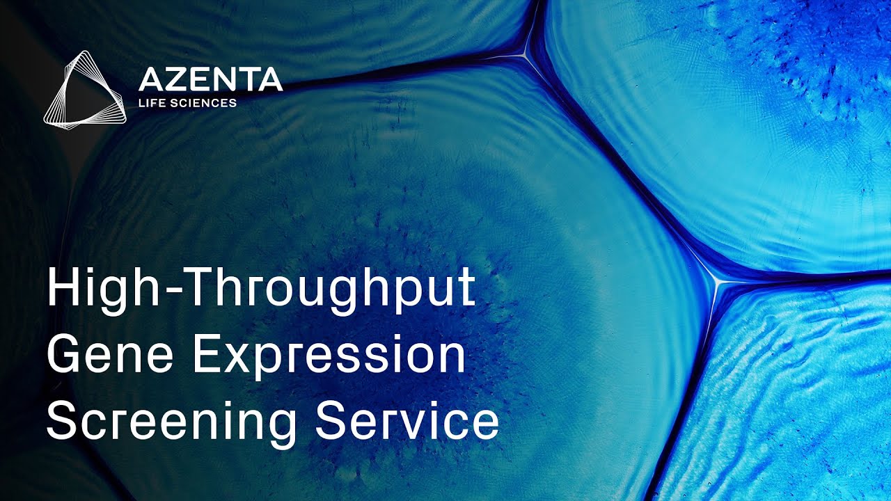 Fast, Unbiased High-Throughput Gene Expression Screening for Drug Discovery
