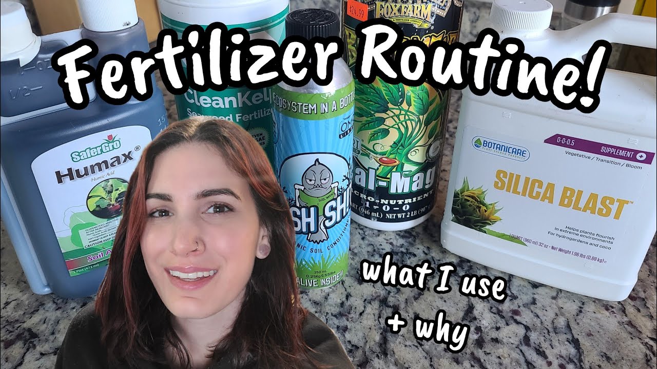 How To Fertilize Your Plants! 🌿 everything I put in my water & why 💦 Houseplant Care ✨️